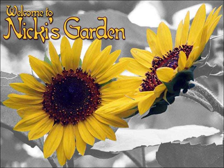 Nicki's Garden - Plant Information - Gardening Guide