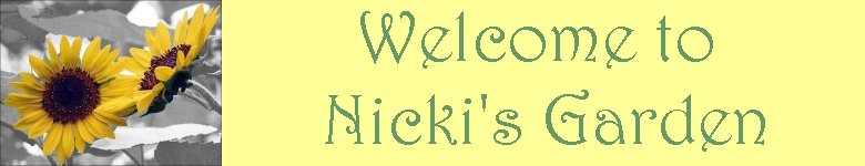 Welcome to Nicki's Garden